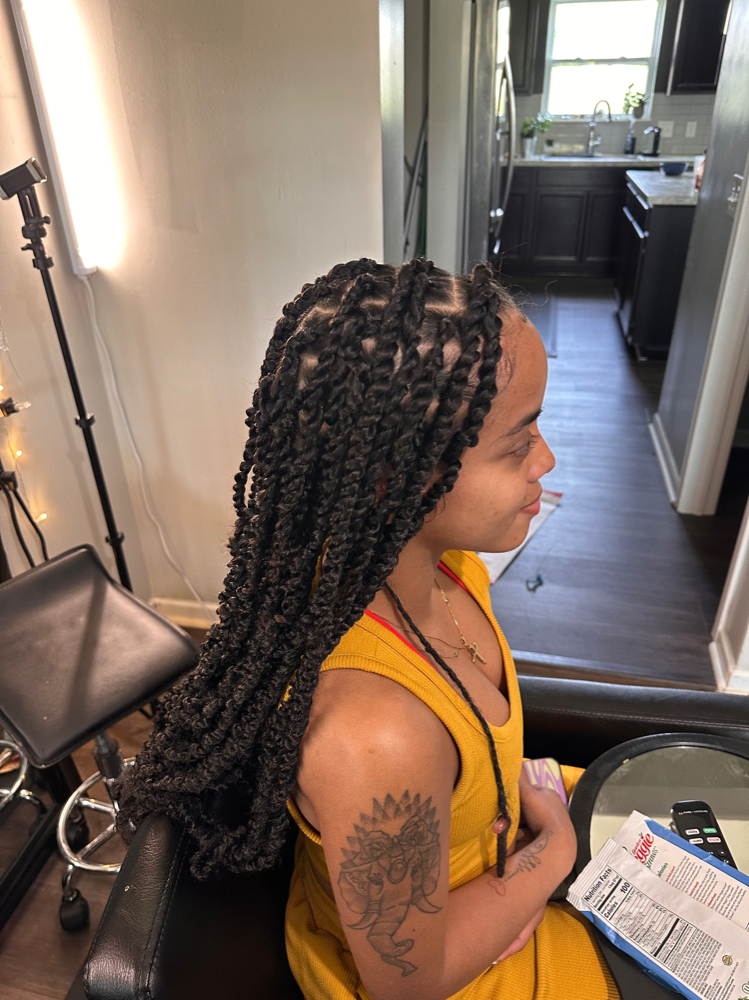Twists/ Box Braids Added Hair