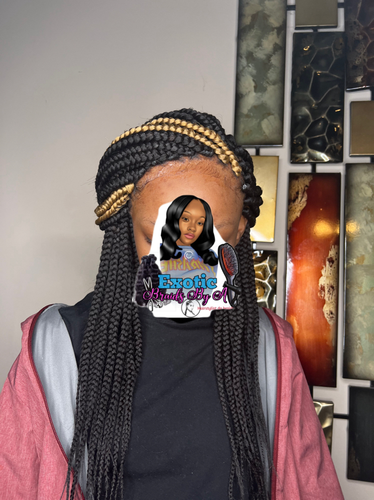 Small Box Braids