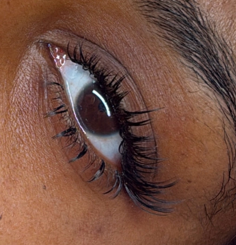Wet Full Set ($15 deposit required) at Lashed By Livi in Anderson, IN