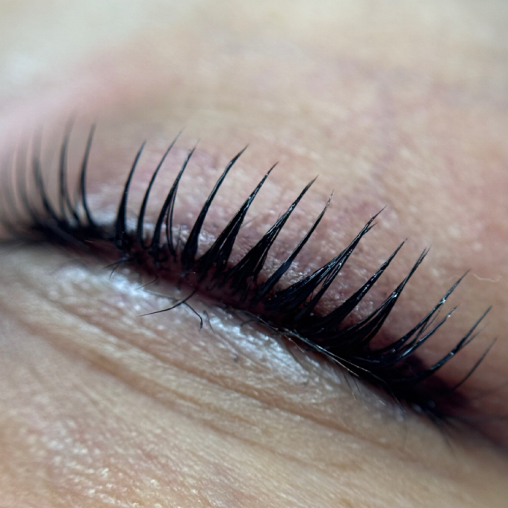 Korean LashLift Or Brow Lami at Lash A Queen Beauty Bar in Brooksville, FL
