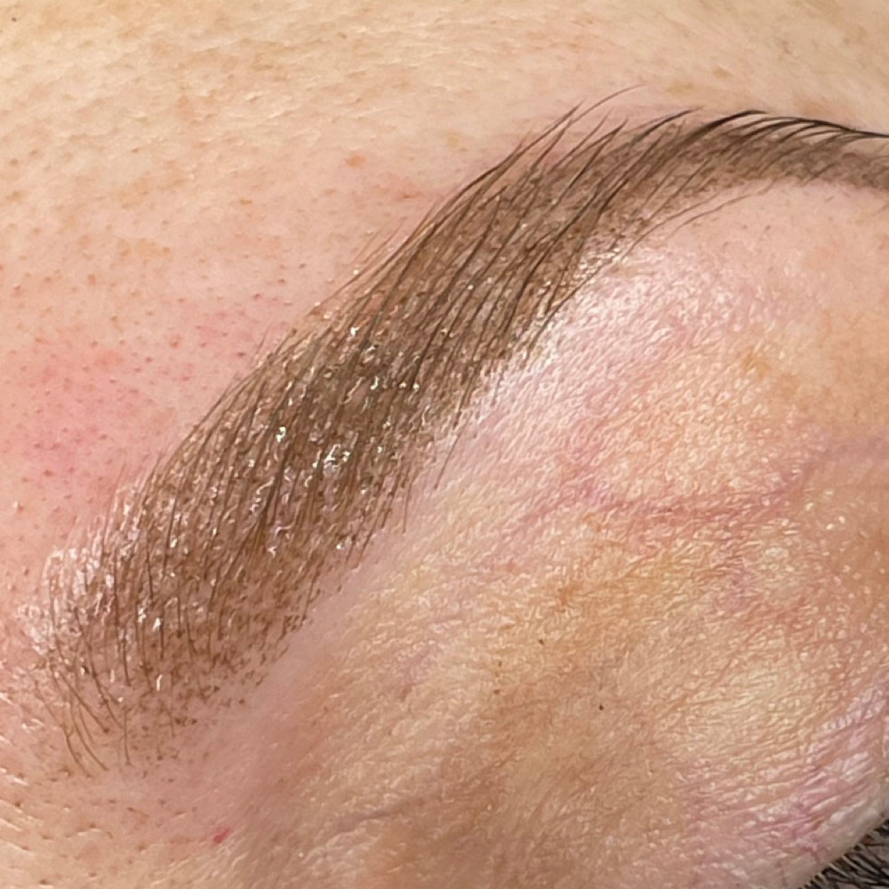 Soft Powder Brow at Exquisite Studios in Lady Lake, FL