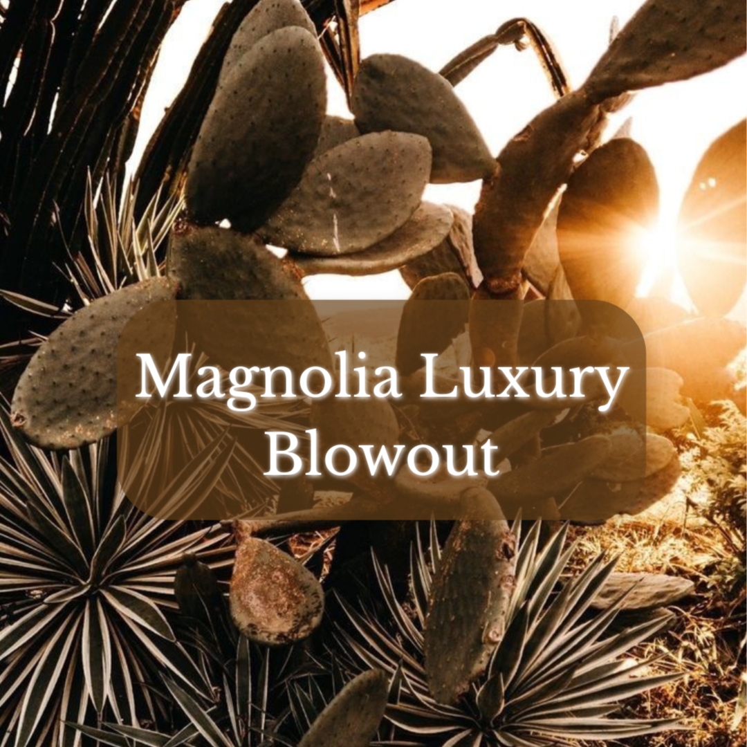 Magnolia Luxury Blow Out at Magnolia on Main in Keene, NH