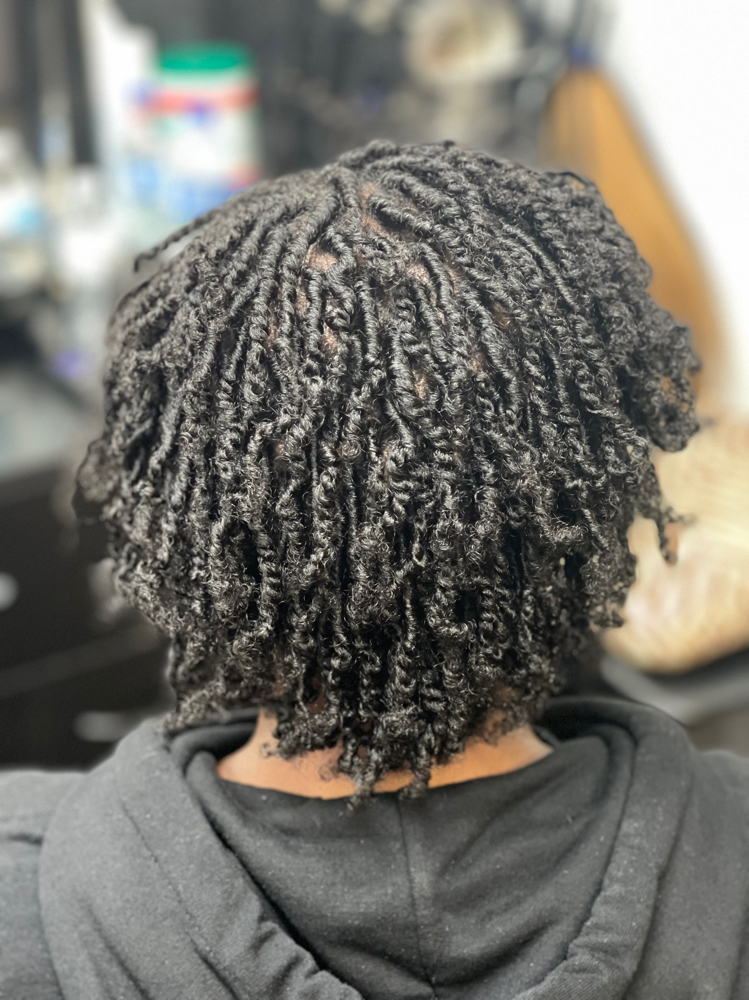 Starter Two-Strand Twist Locs Small