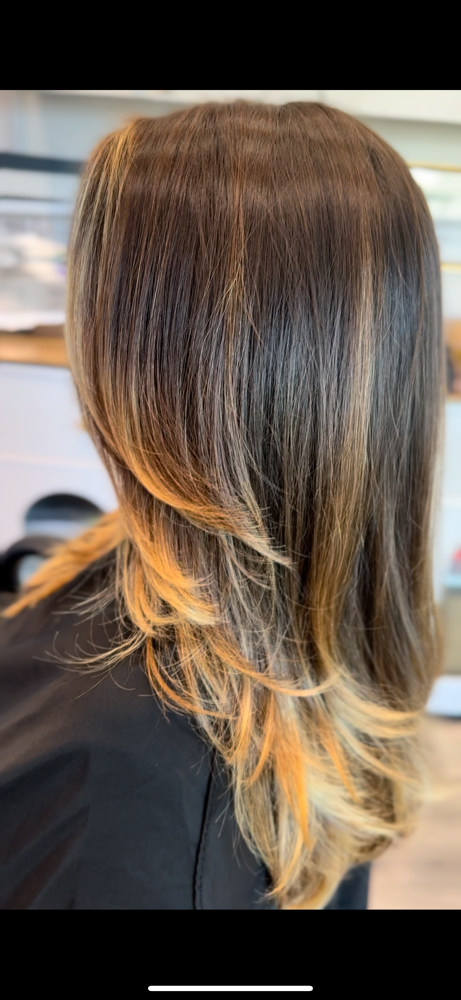 Roots, Bowlayage, Cut & Style