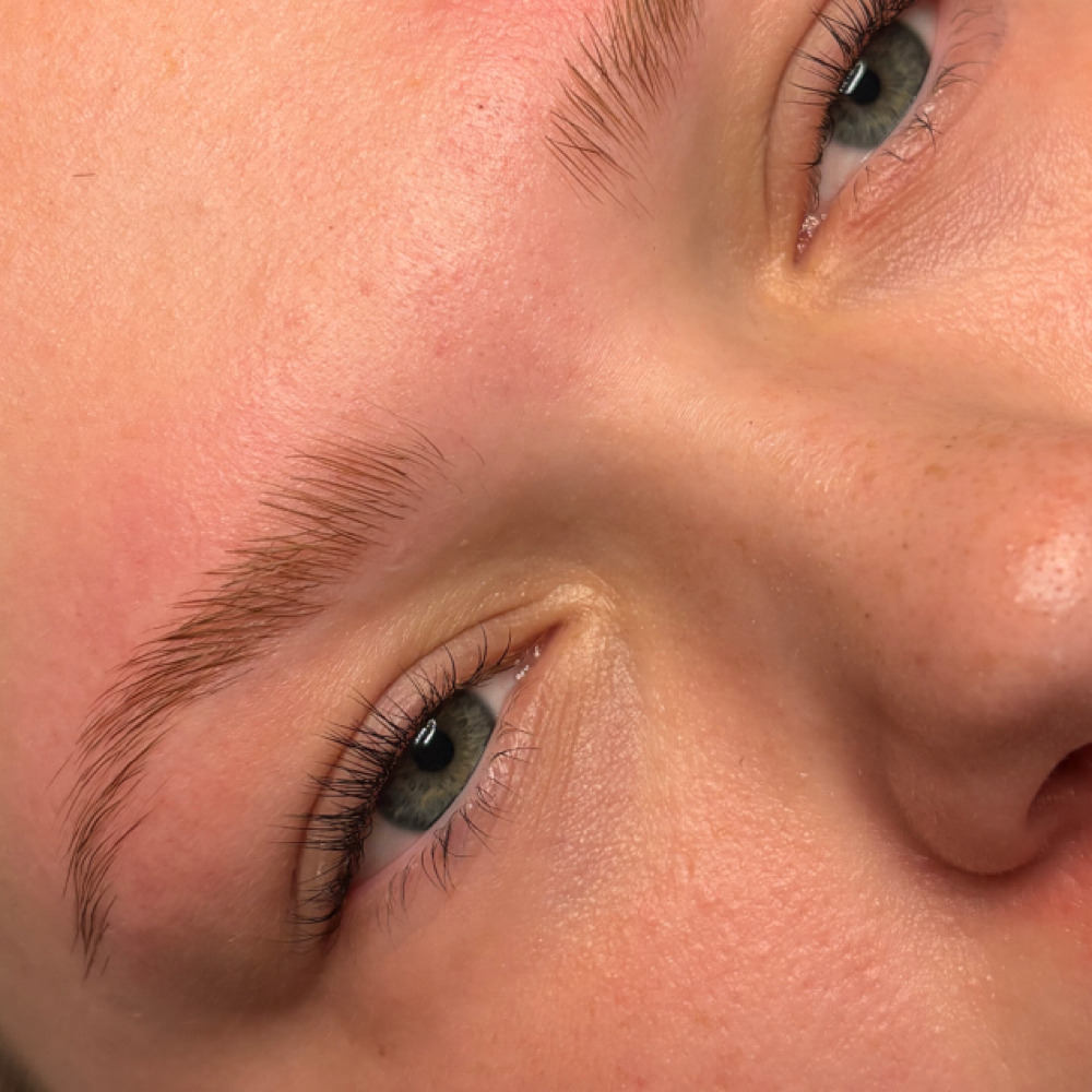 Brow Wax + Tint at Naturally Esthetics in Myrtle Beach, SC