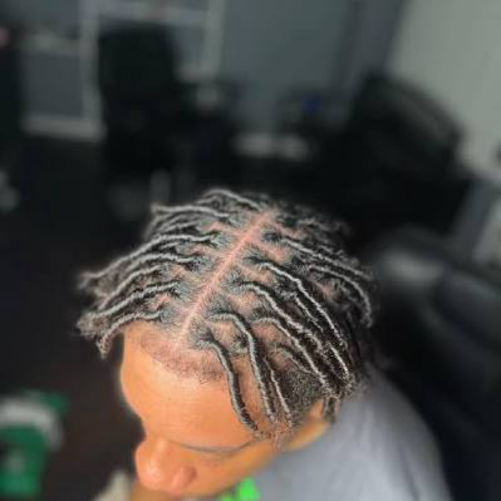 Starter Locs at Heaven Stylish Locs & More in Lagrange, GA