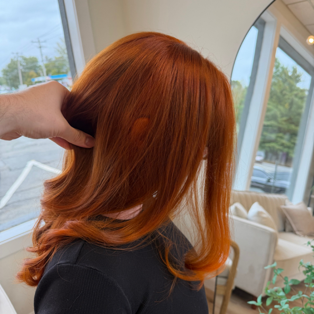 All over color at Hair By Benjamin Modeen in Watertown, CT