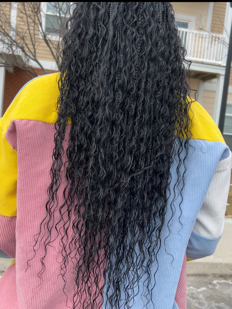 Gypsy Braids