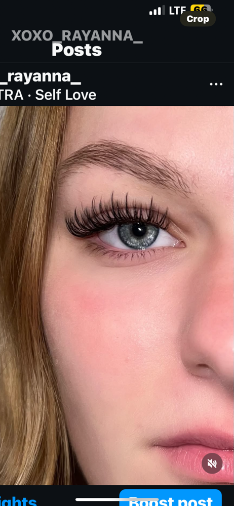 Wet set lash extention