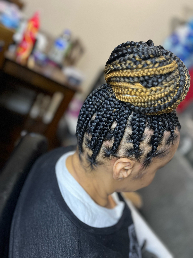 Medium Knotless Braids Mid Back