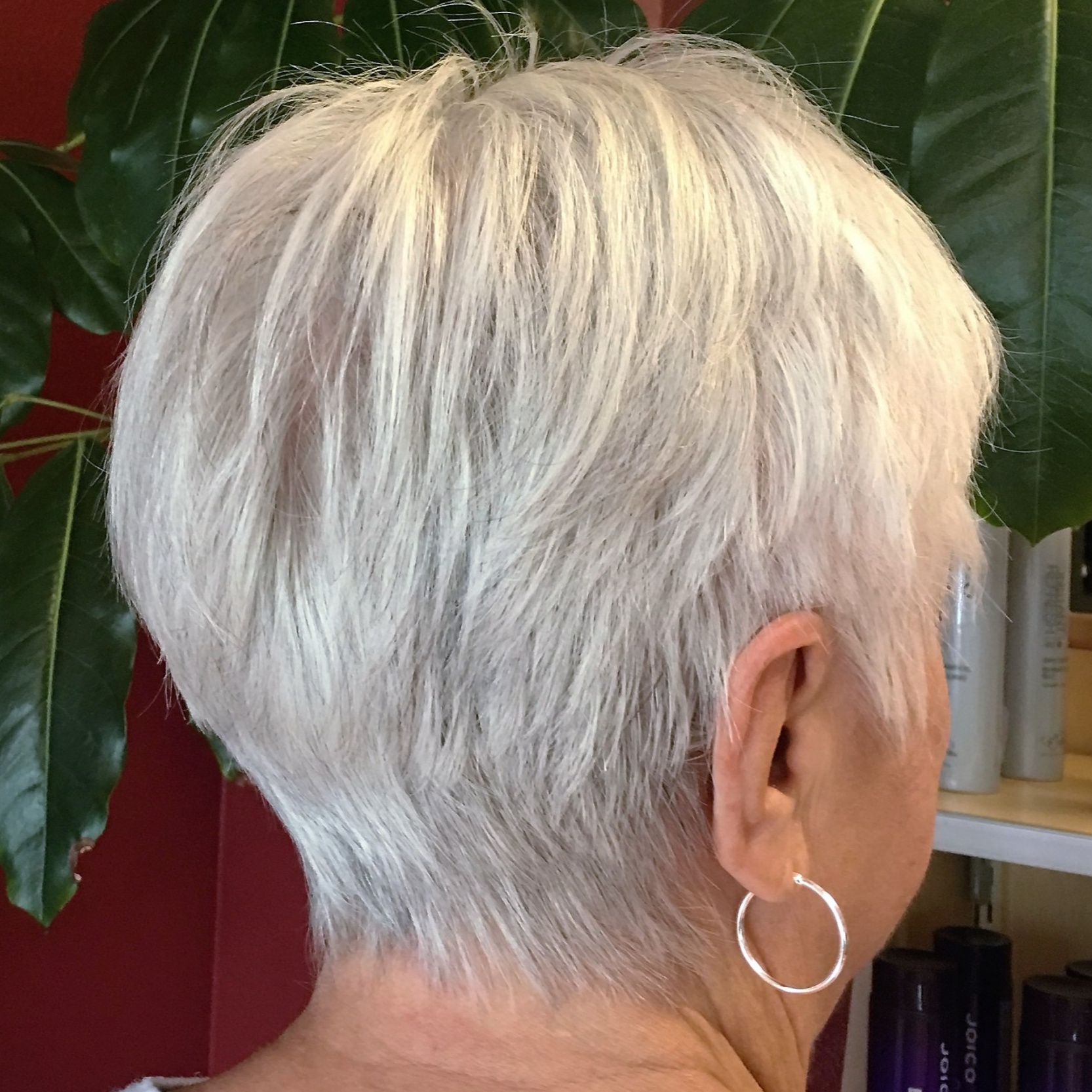 Pixie Cut - MASTER STYLIST at Ritual Hair Design in Hillsboro, OR