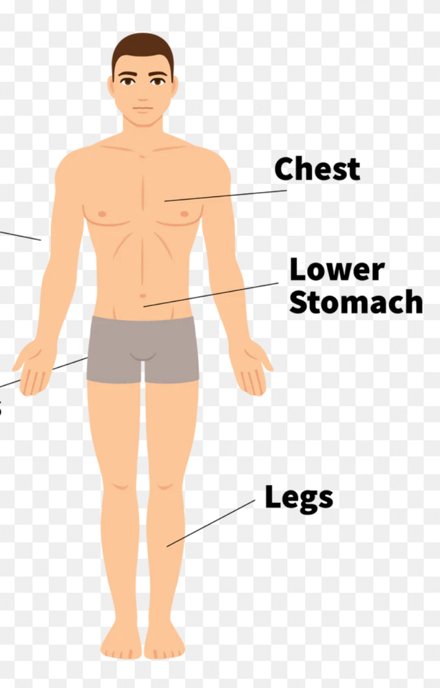 Full Chest