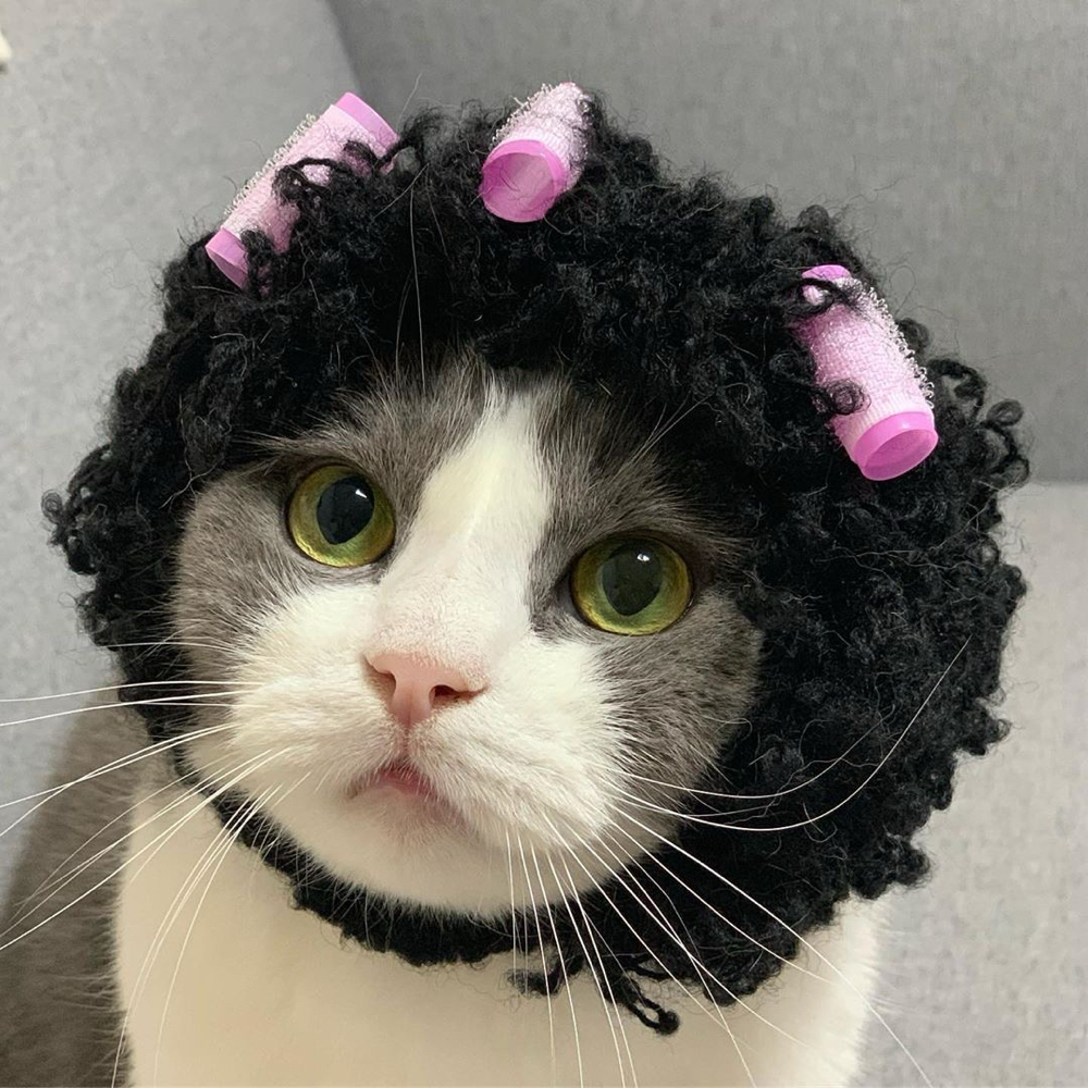 K18 MOLECULAR REPAIR (ADD ON) at theonlygracetoeverexist in Dallas, TX