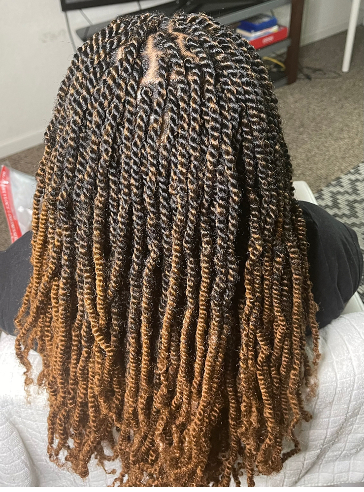 Kinky Twist (Small) at Royalty Braids And Weave LLC in Melbourne, FL