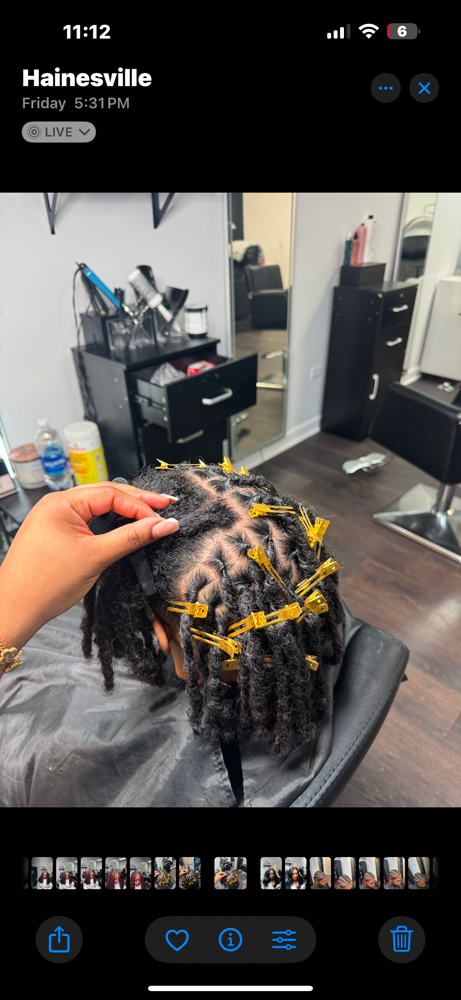 Natural Loc Retwist