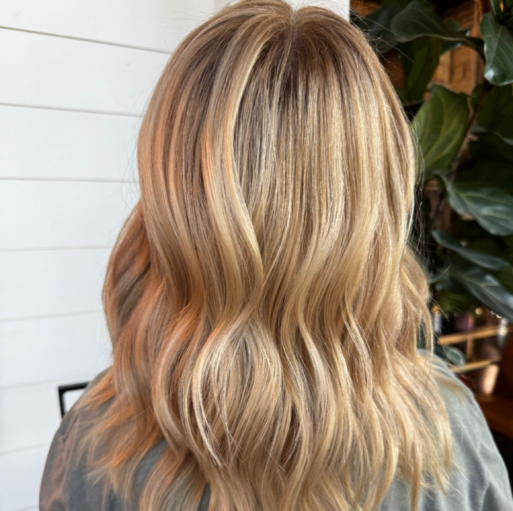 Highlights- The Base