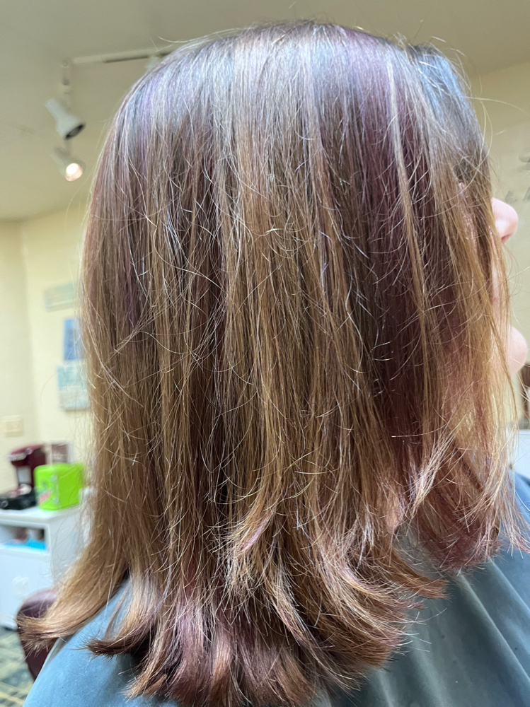 Highlights