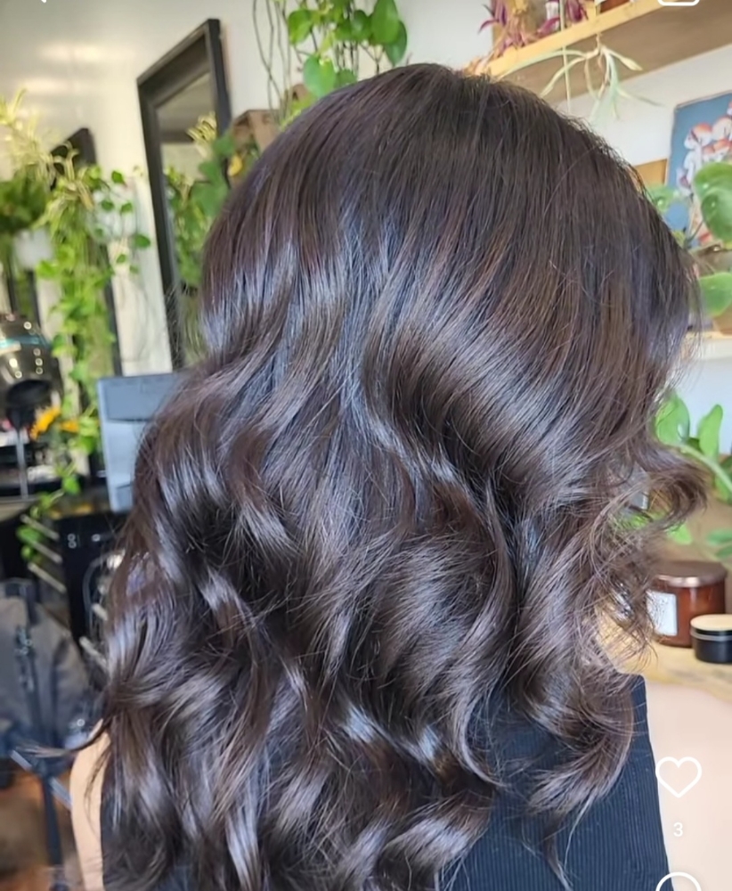 Root Touch Up
