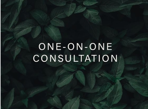 Consultant