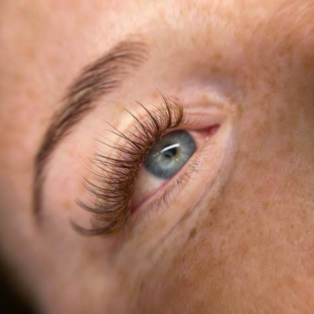 Brown Expresso Lash Set at Haus of Beauty Studio in Hialeah, FL