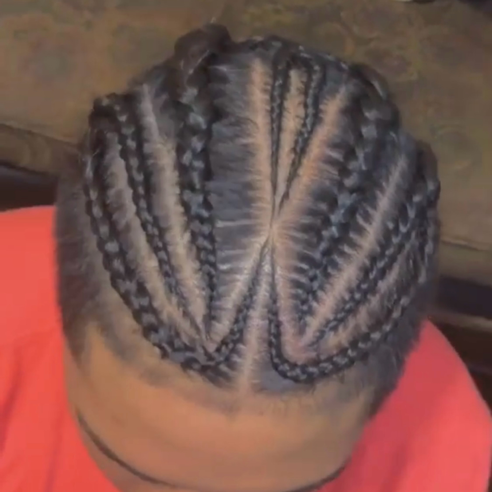 Braid(s)