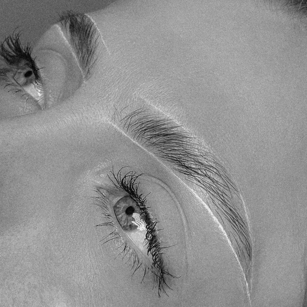 Signature Brow Sculpt Package at Am Luxe Artistry in Orlando, FL