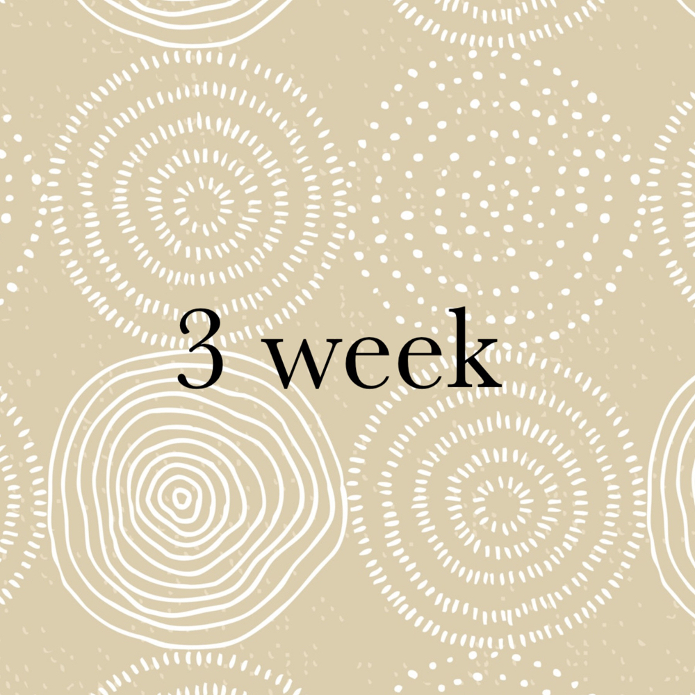 Volume 3 Week Fill