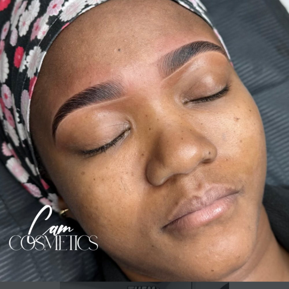Brow Lami Deluxe at Cam Cosmetics in Chicago, IL