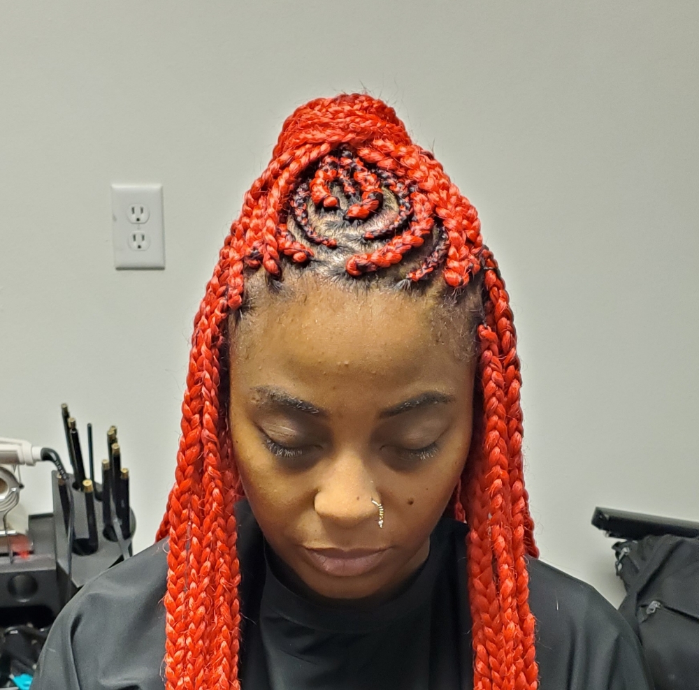 Braided Ponytail (Hair Included)
