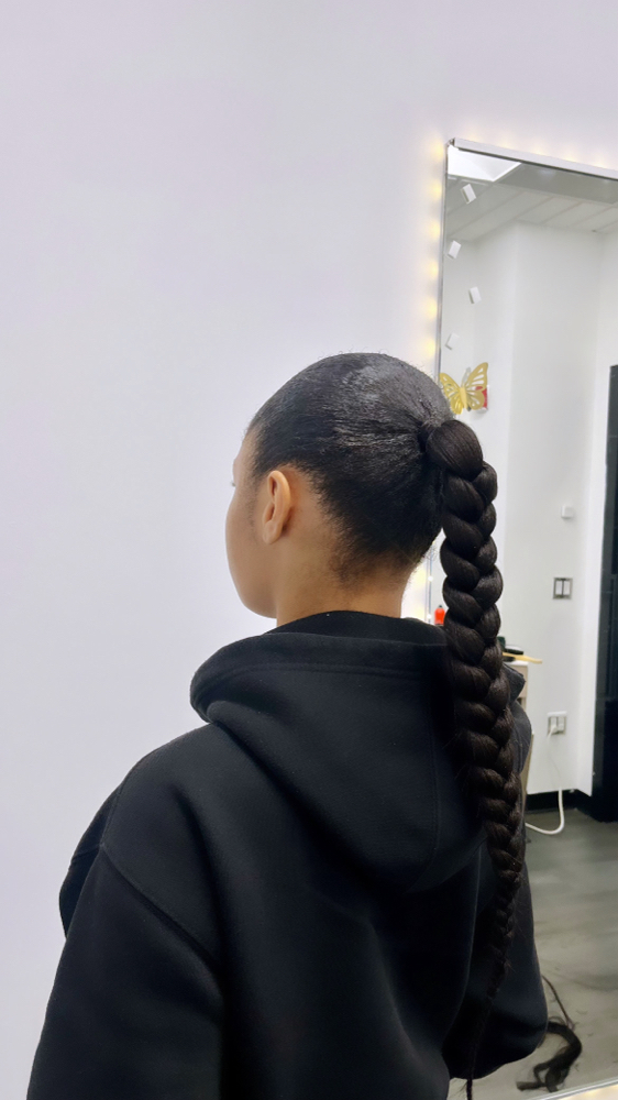 Braided Ponytail