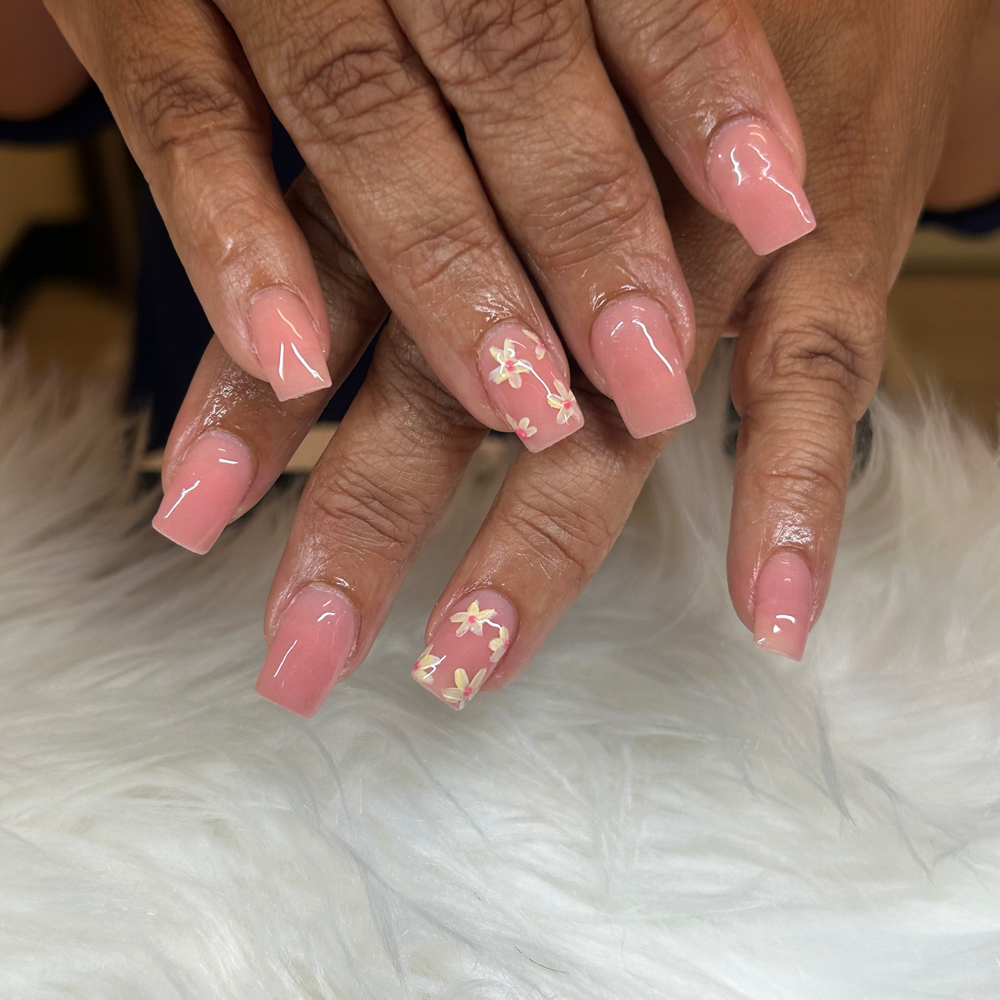 Acrylic Basic Full set