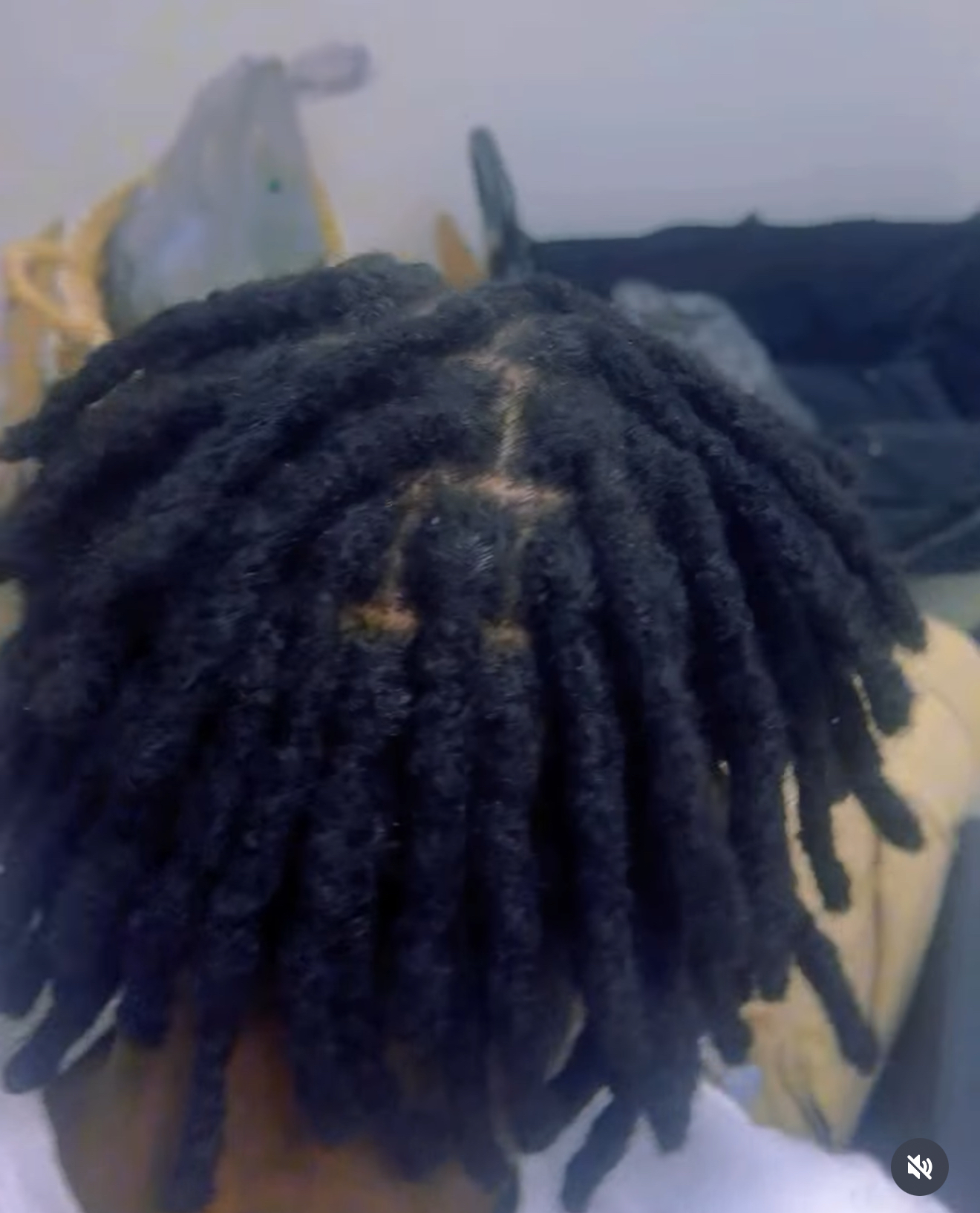 Starter Locs