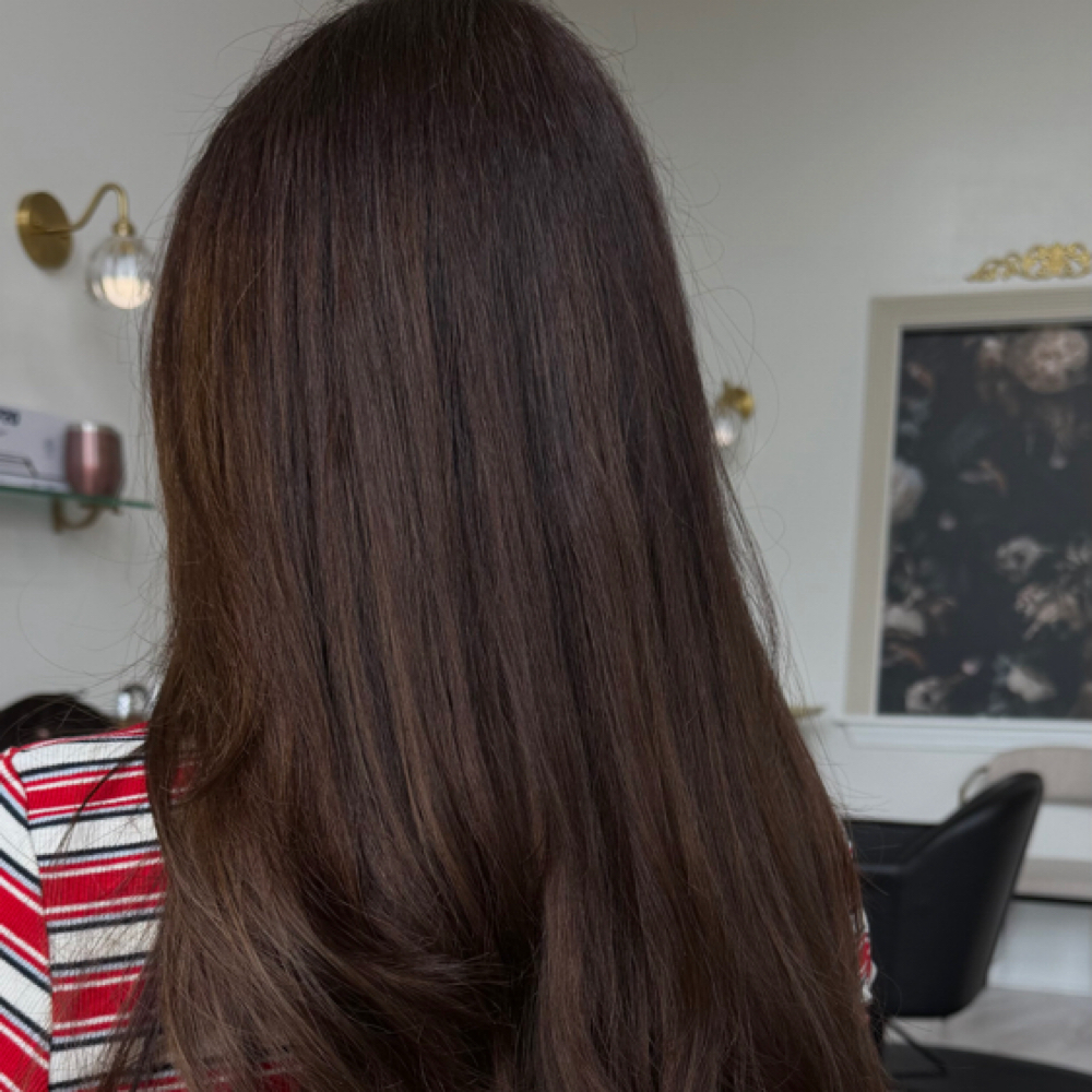 Root Touch Up/ Anissa at Colour Lounge Studio in Walla Walla, WA