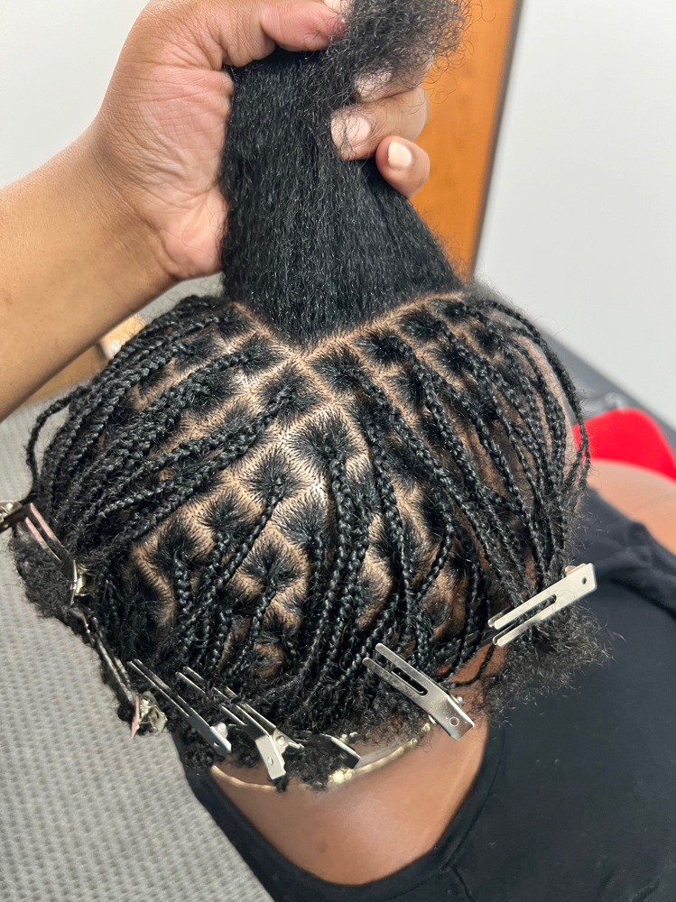 Large Microloc Braids (Special)