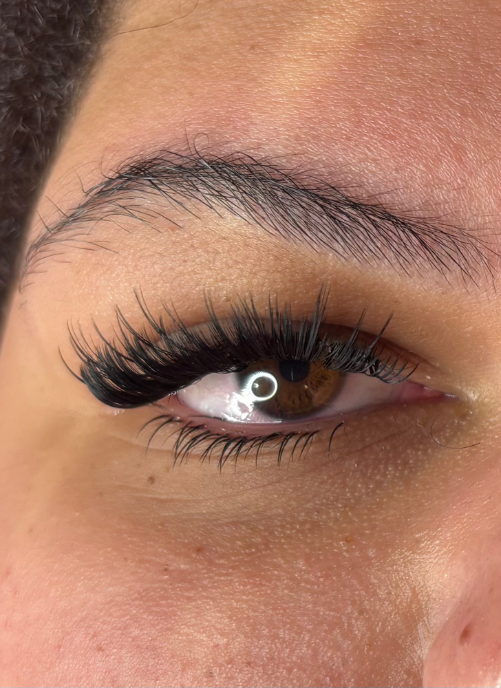 Bottom Lashes