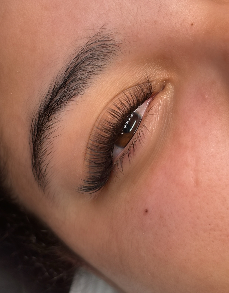 Full Set Hybrid/Light Volume