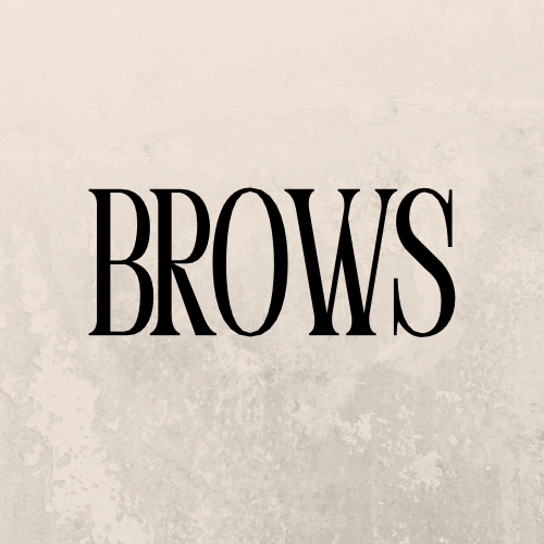 1ML + Brow Lami at lluxelips in San Antonio, TX