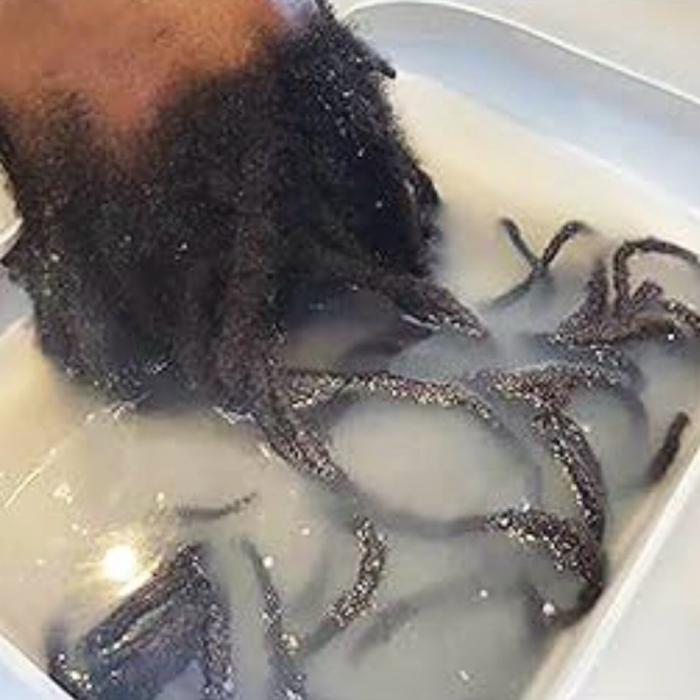 WICK DETOX at Crowned by Vee in Warner Robins, GA