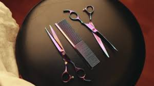 Clipper Cut
