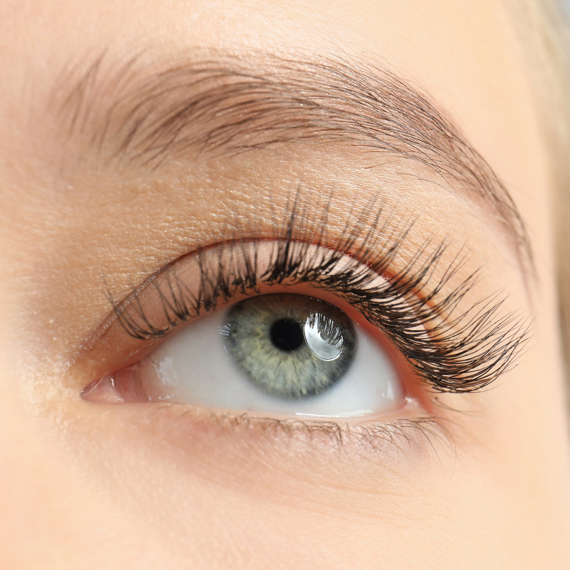 Lash Tinting
