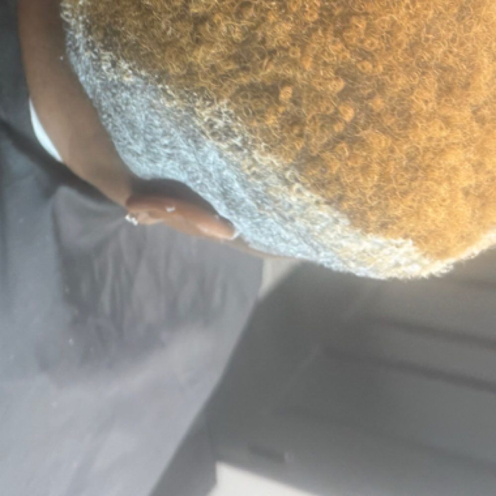Bleaching Short Hair at GraceHair in Memphis, TN