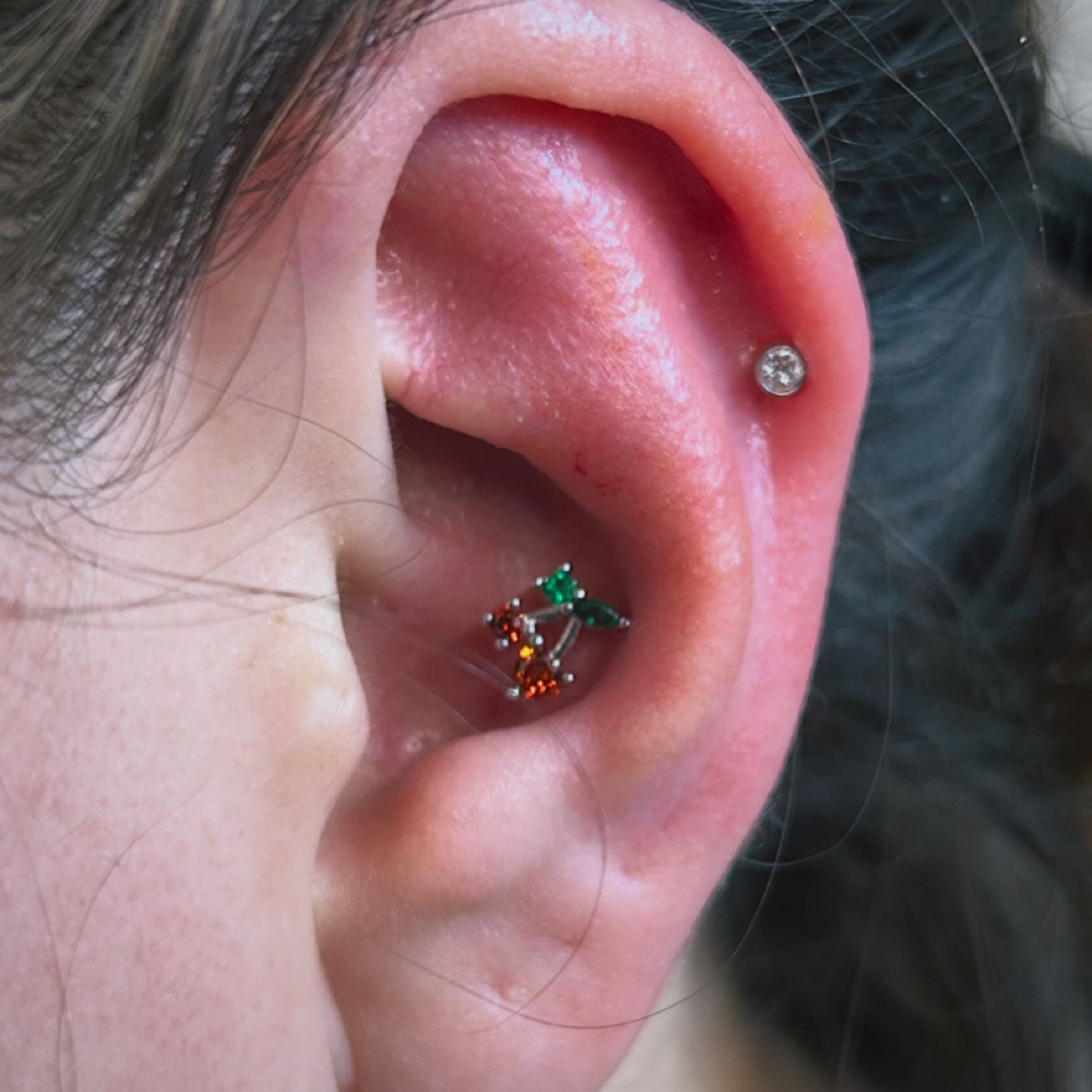 Double Cartilage Special 14+ at Wildflower Piercing Company in Alturas, CA