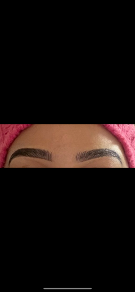 Fill-in Brows ONLY at Shantell’s in Greenville, NC