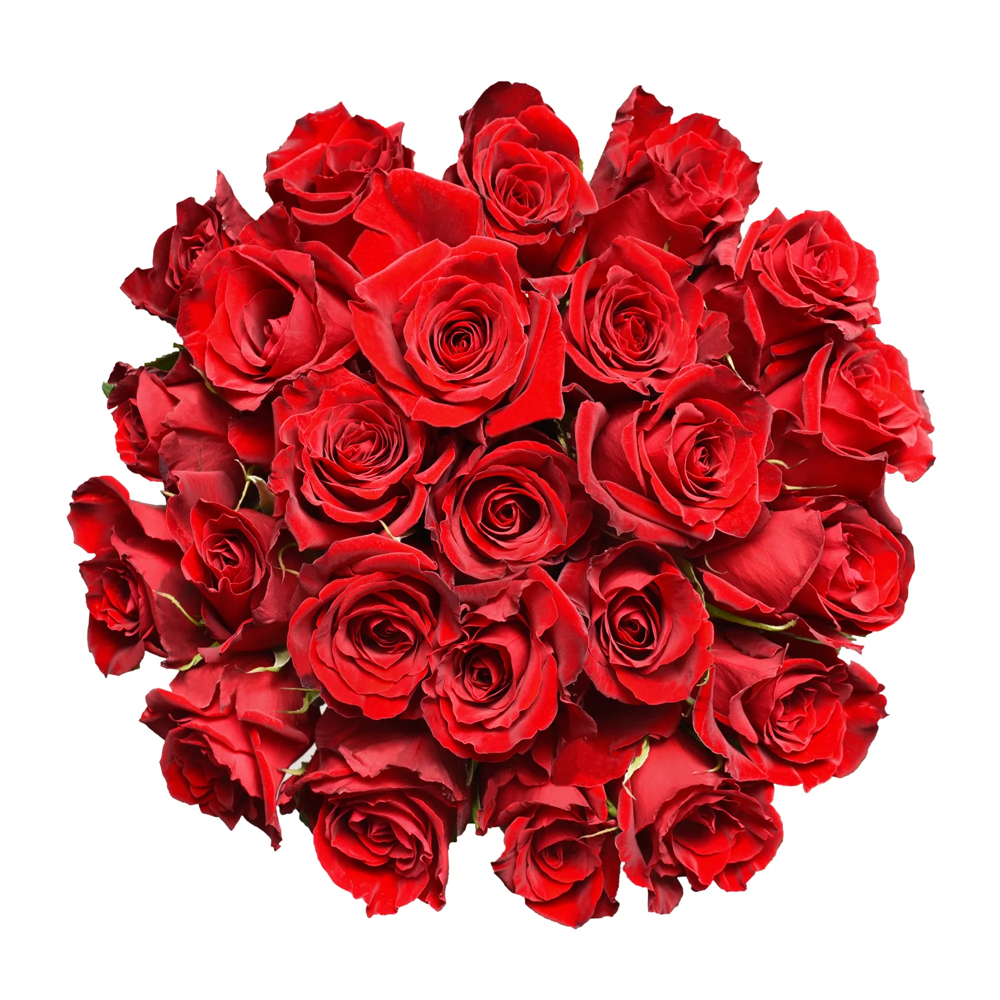 Rose Petal Spa Pedicure