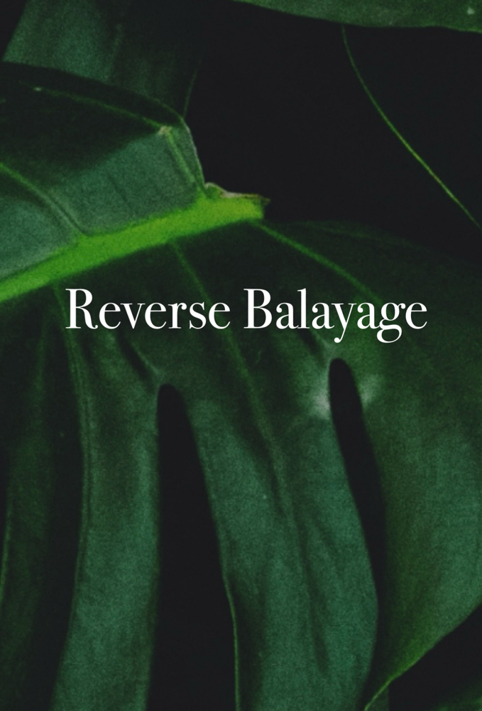 Reverse Balayage at Anestie Beauty Lounge in Franklin Square, NY