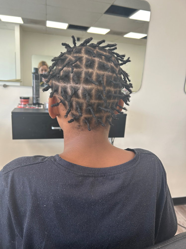 Starter Locs