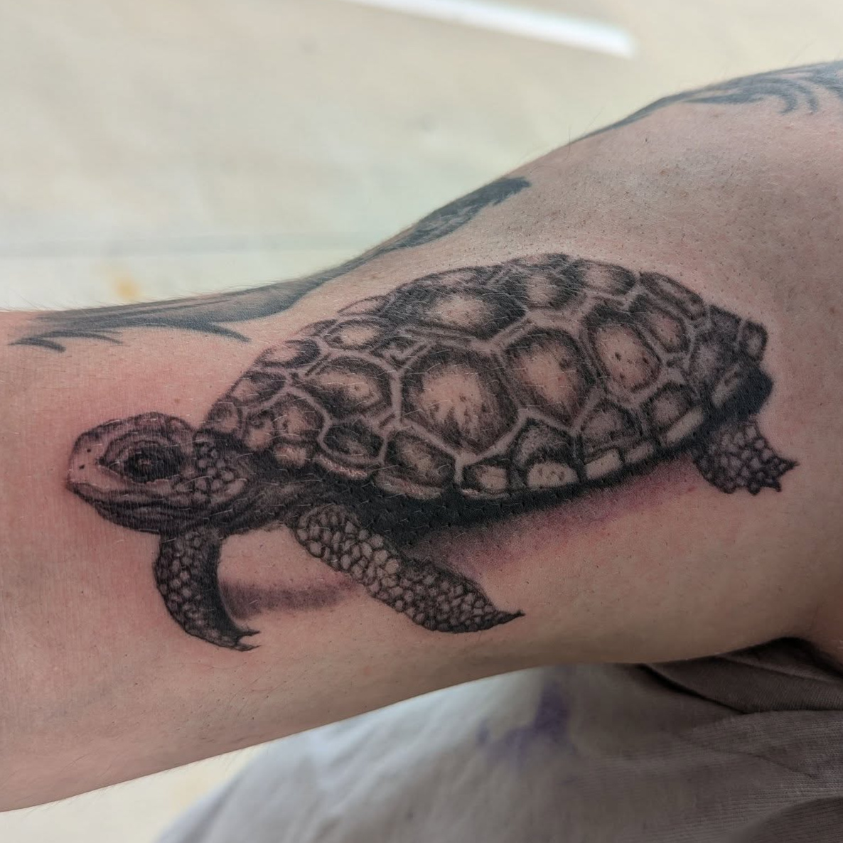 Black and Gray (shading) at The Isle Tattoo in Erie, PA