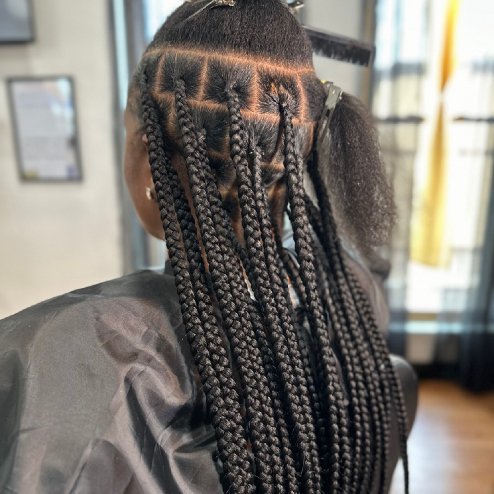 Signature Knotless Braids (Large) at Paradisestylez in Southfield, MI