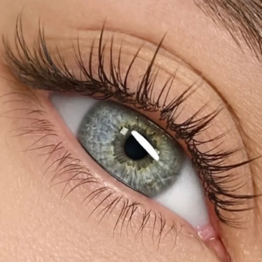 Lash Extensions at arch + bow studio in Placerville, CA
