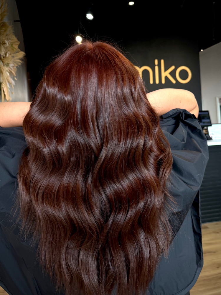 Single Process All Over Color at The Hair Artease in Alexandria, VA